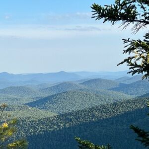 ▪️Live Show Listing▪️